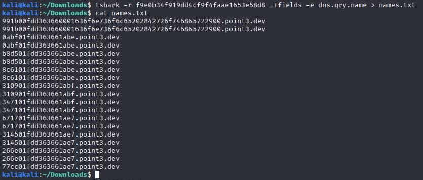 tshark CLI