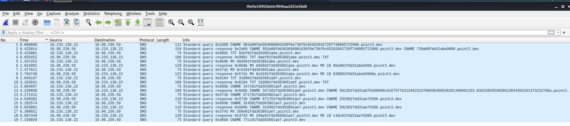 Wireshark DNS traffic