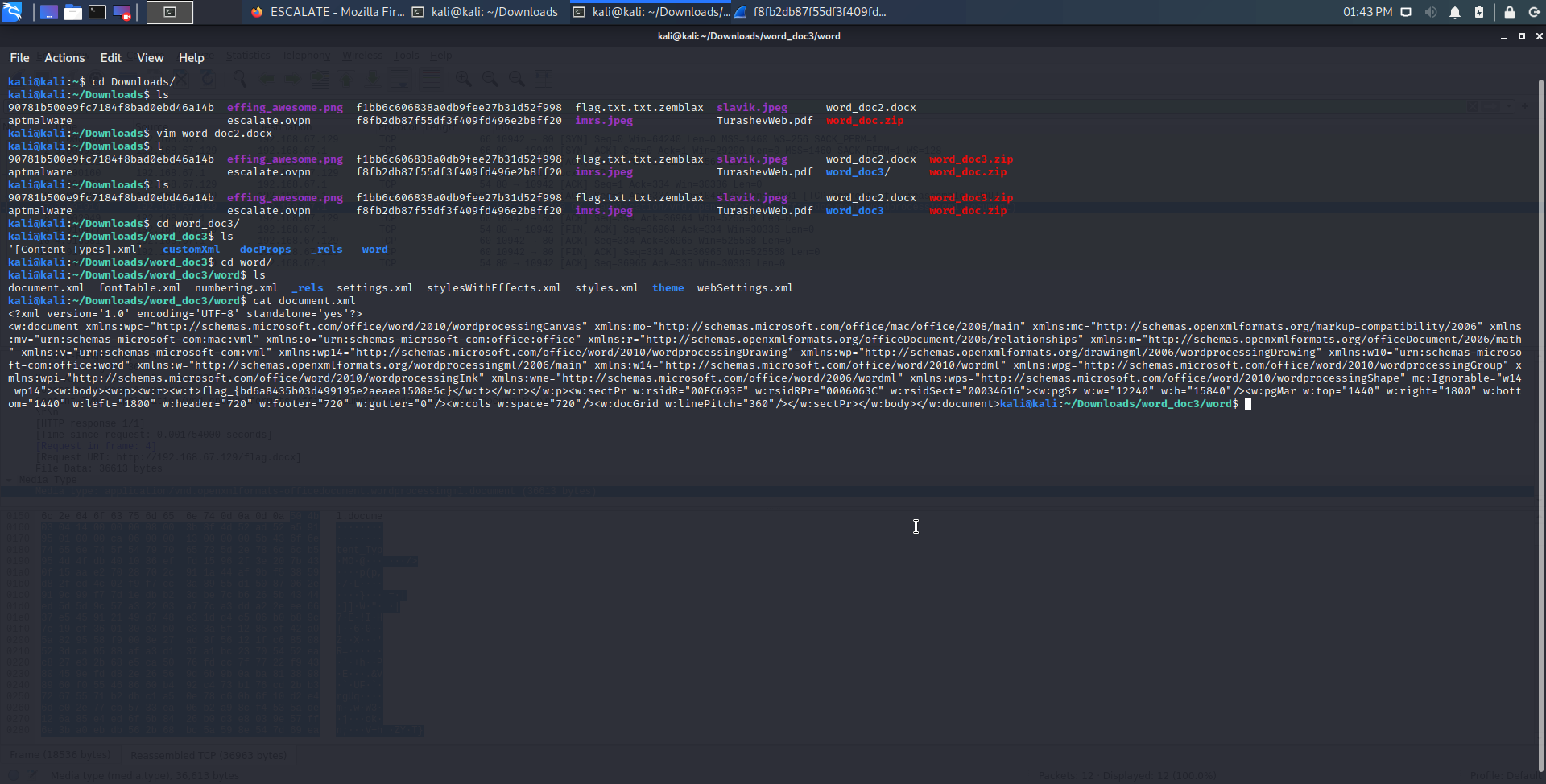 Screenshot of Linux terminal with directory listing and file contents of uncompressed doc file